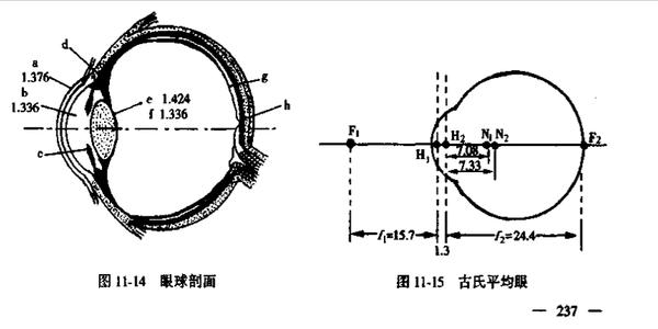 临邑县京东馅饼加盟怎么样